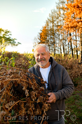 March 2020 / VERGARA_039