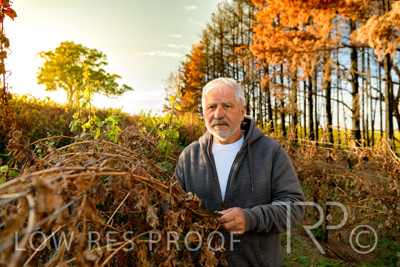 March 2020 / VERGARA_041