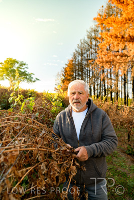 March 2020 / VERGARA_043