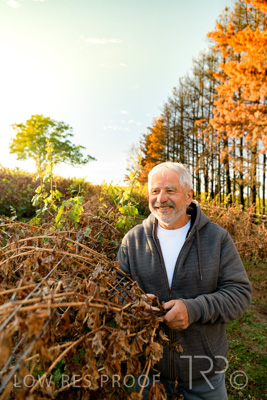 March 2020 / VERGARA_044