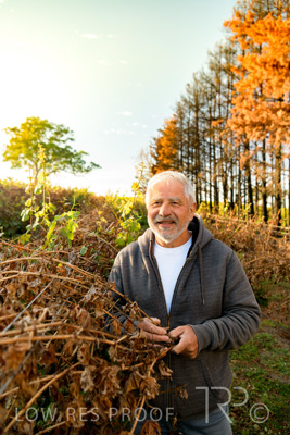 March 2020 / VERGARA_045