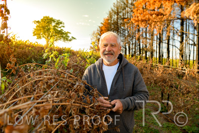 March 2020 / VERGARA_046