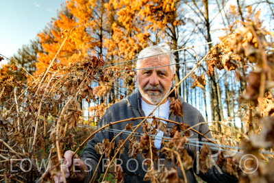 March 2020 / VERGARA_047