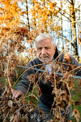 March 2020 / VERGARA_048