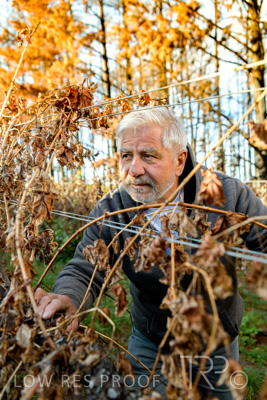 March 2020 / VERGARA_049