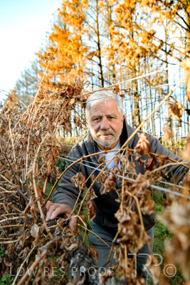 March 2020 / VERGARA_051