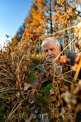 March 2020 / VERGARA_053