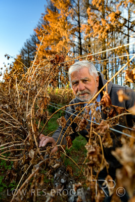 March 2020 / VERGARA_054