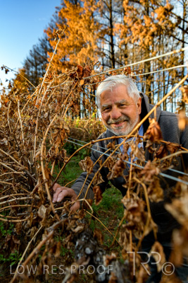 March 2020 / VERGARA_055