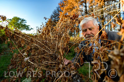 March 2020 / VERGARA_056