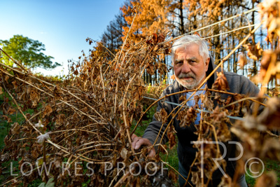 March 2020 / VERGARA_057