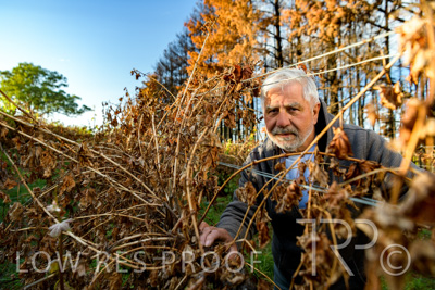 March 2020 / VERGARA_058