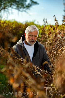 March 2020 / VERGARA_060