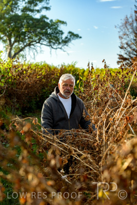 March 2020 / VERGARA_061