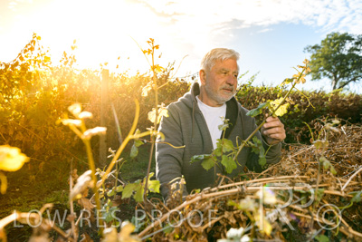 March 2020 / VERGARA_063