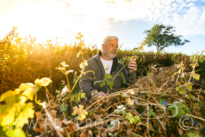 March 2020 / VERGARA_064