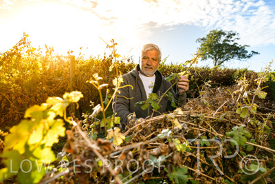 March 2020 / VERGARA_065