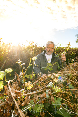 March 2020 / VERGARA_066