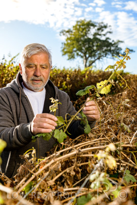 March 2020 / VERGARA_068