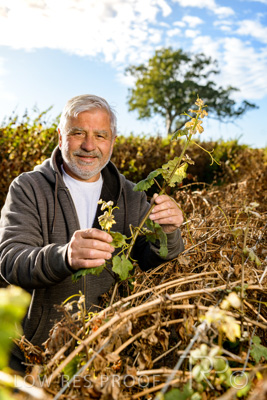 March 2020 / VERGARA_069