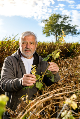 March 2020 / VERGARA_070