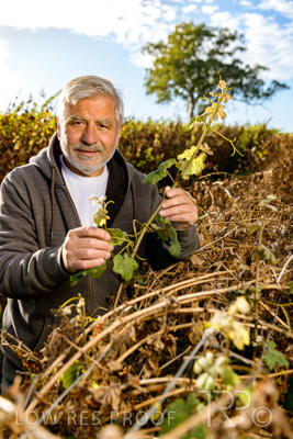 March 2020 / VERGARA_071