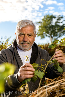 March 2020 / VERGARA_072