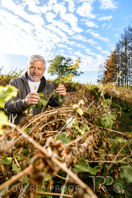 March 2020 / VERGARA_073