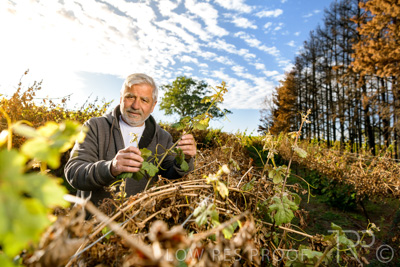 March 2020 / VERGARA_074