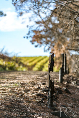 March 2020 / VERGARA_089