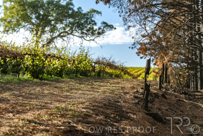 March 2020 / VERGARA_090