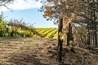 March 2020 / VERGARA_091