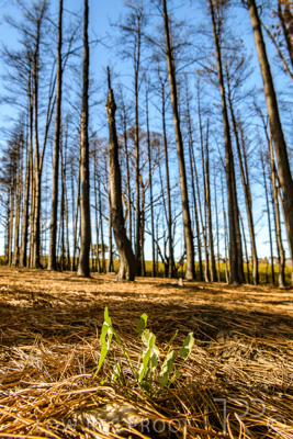 March 2020 / VERGARA_098