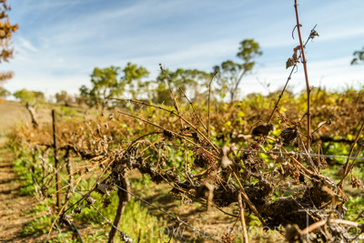 March 2020 / VERGARA_149