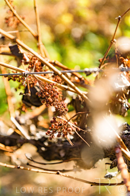 March 2020 / VERGARA_151