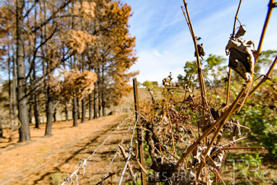 March 2020 / VERGARA_155