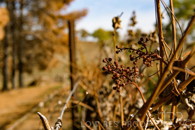 March 2020 / VERGARA_156