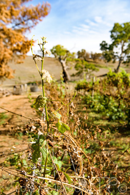 March 2020 / VERGARA_165