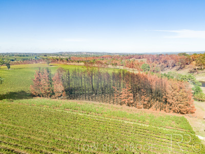 March 2020 / VERGARA_169