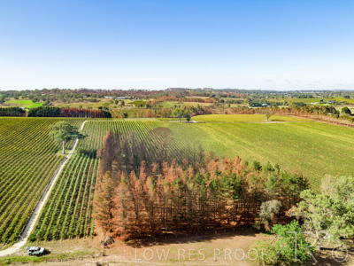 March 2020 / VERGARA_170