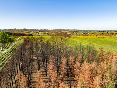 March 2020 / VERGARA_171