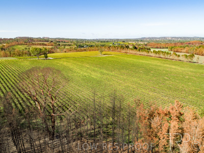 March 2020 / VERGARA_172