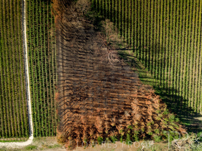 March 2020 / VERGARA_175