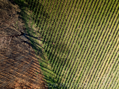 March 2020 / VERGARA_177