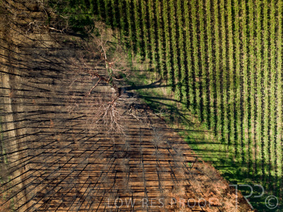 March 2020 / VERGARA_178