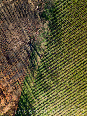 March 2020 / VERGARA_179