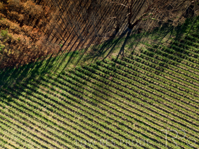 March 2020 / VERGARA_180