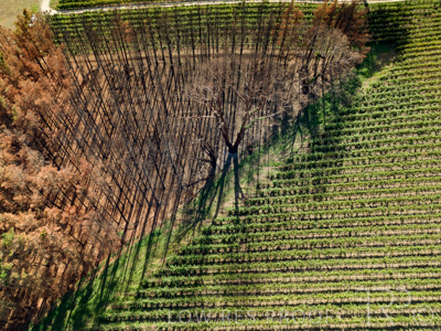 March 2020 / VERGARA_181