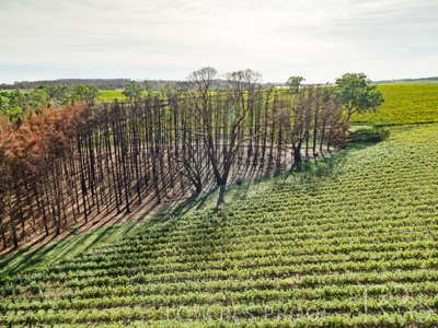 March 2020 / VERGARA_184