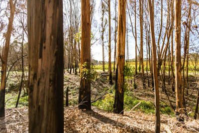 March 2020 / VERGARA_185